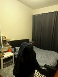 Palm Lodge (D14), Apartment #600230061